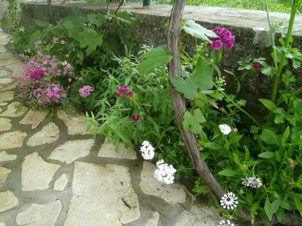 Holiday Home Lorraina Štivan Buitenkant foto